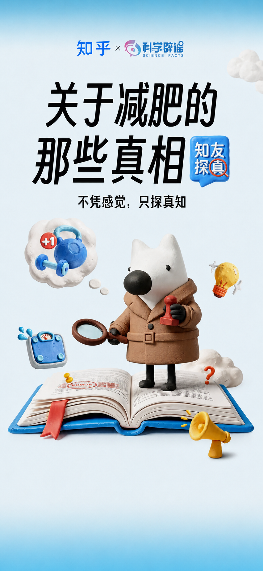 关于减肥的那些真相